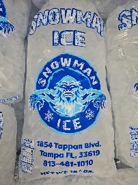 Snowman Ice Tampa – Orlando