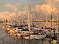 Davis Island Yacht Club