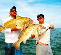 The Saltwater Hook Up Fishing Charters – Tampa Fishing Charters