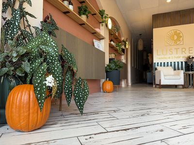 LUSTRE Headspa – Lakeland photo 37