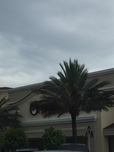 Naples Family Fitness photo 44