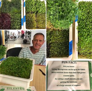 Naples Family Fitness photo 52