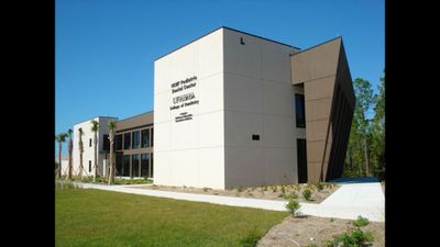 NCF Pediatric Dental Center – Naples