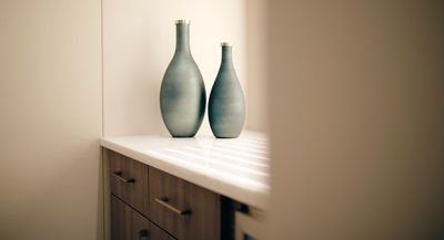 Naples Aesthetic Institute: Kiran Gill, MD photo 55