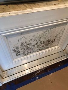 True Builders Inc. photo 31