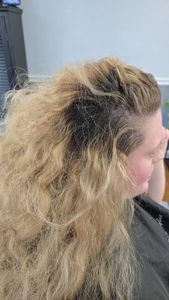 Utopia Studios photo 14