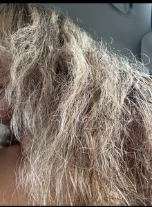 Bella Glam Beauty photo 38