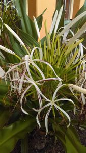 Salon Bamboo Aveda – Premier photo 33