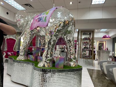 Sashyhairdesignclub photo 7