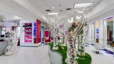 Sashyhairdesignclub photo 33