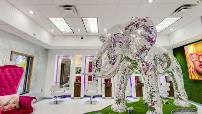 Sashyhairdesignclub photo 36