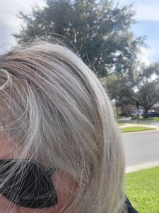 Royal De Luxe photo 19