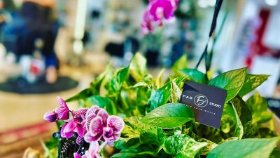 Fab Studio – Formerly Fabrice Hair Studio