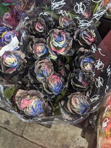 Salons by JC Naples photo 9