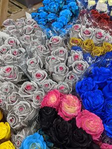 Salons by JC Naples photo 21