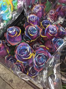 Salons by JC Naples photo 29