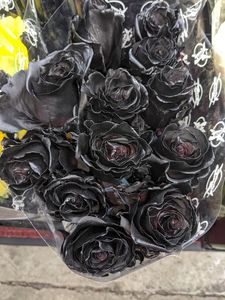 Salons by JC Naples photo 35