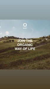 My Beauty Restored photo 26