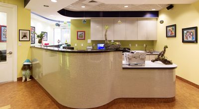 Oak Tree Dentistry photo 31