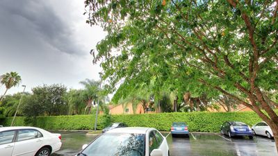 Oak Tree Dentistry photo 42