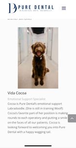 Pure Dental photo 31