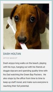 Specialists in Implant Dentistry – Dr Matthew Holtan photo 39