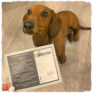 Specialists in Implant Dentistry – Dr Matthew Holtan photo 40