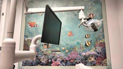 Kelli Salomon, DMD photo 2