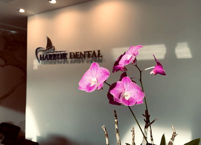 Harbor Dental photo 5