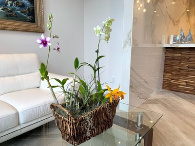 Harbor Dental photo 19