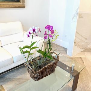 Harbor Dental photo 24