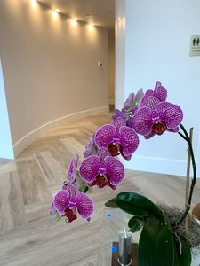 Harbor Dental photo 38