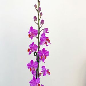 Harbor Dental photo 44