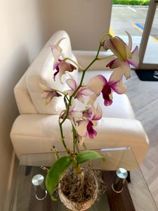 Harbor Dental photo 59