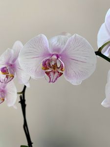 Harbor Dental photo 6