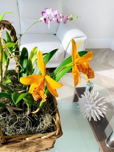 Harbor Dental photo 8