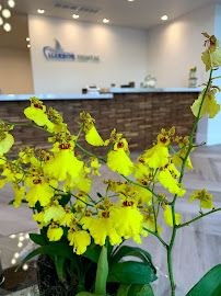 Harbor Dental photo 18