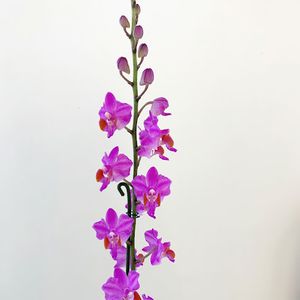 Harbor Dental photo 30