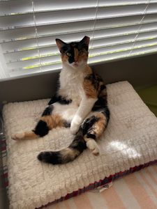 Naples Bay Dental Group photo 13