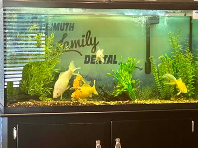 Freimuth Family Dental