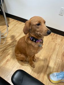 Ocala Family Dentistry photo 7