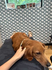 Ocala Family Dentistry photo 8