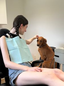 Ocala Family Dentistry photo 16