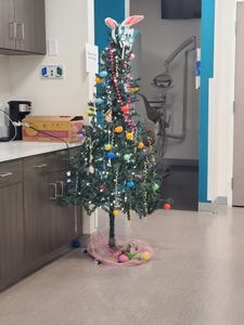 Heart Of Florida Health Center Main Dental photo 3