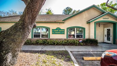 A Caring Dentist – Tampa photo 4