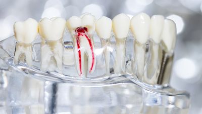 Muscaro & Martini Dentistry photo 8