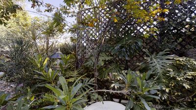 Missouri Gardens Dental photo 27