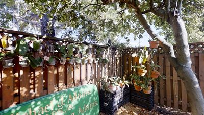 Missouri Gardens Dental photo 29