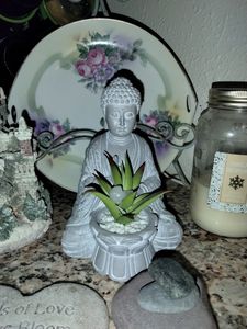 Champagne Dental photo 7