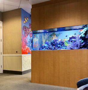 Bay Area Smiles Howell Whitehead & Assoc, PA photo 9